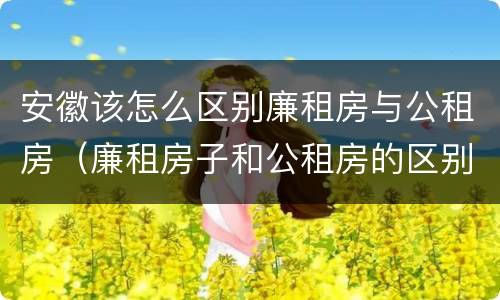 安徽该怎么区别廉租房与公租房（廉租房子和公租房的区别）