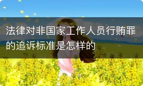 法律对非国家工作人员行贿罪的追诉标准是怎样的
