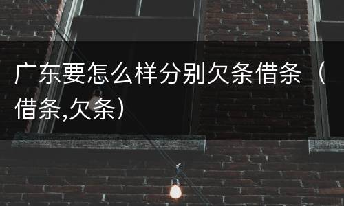 广东要怎么样分别欠条借条（借条,欠条）