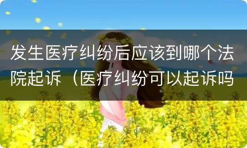 发生医疗纠纷后应该到哪个法院起诉（医疗纠纷可以起诉吗）