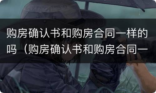 购房确认书和购房合同一样的吗（购房确认书和购房合同一样的吗有效吗）