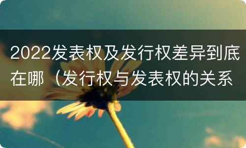 2022发表权及发行权差异到底在哪（发行权与发表权的关系）