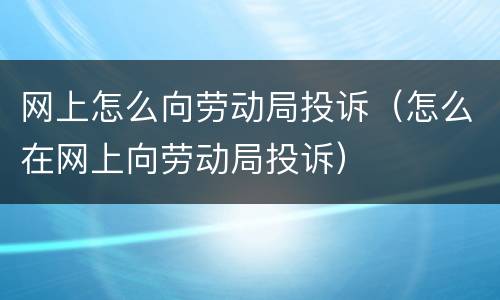 网上怎么向劳动局投诉（怎么在网上向劳动局投诉）