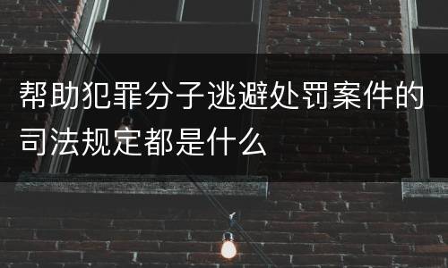 帮助犯罪分子逃避处罚案件的司法规定都是什么