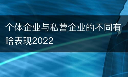 个体企业与私营企业的不同有啥表现2022