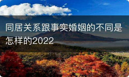 同居关系跟事实婚姻的不同是怎样的2022