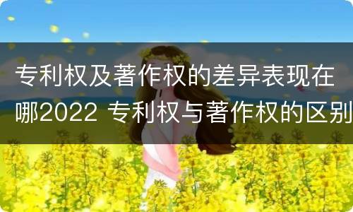 专利权及著作权的差异表现在哪2022 专利权与著作权的区别与联系