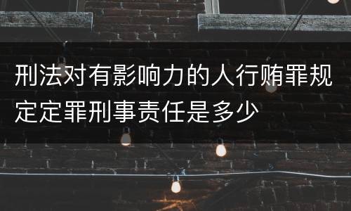刑法对有影响力的人行贿罪规定定罪刑事责任是多少
