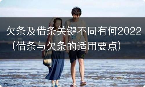 欠条及借条关键不同有何2022（借条与欠条的适用要点）
