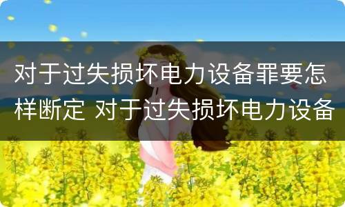 对于过失损坏电力设备罪要怎样断定 对于过失损坏电力设备罪要怎样断定责任