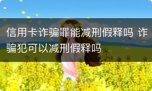 信用卡诈骗罪能减刑假释吗 诈骗犯可以减刑假释吗