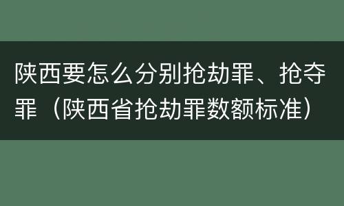 陕西要怎么分别抢劫罪、抢夺罪（陕西省抢劫罪数额标准）
