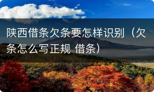 陕西借条欠条要怎样识别（欠条怎么写正规 借条）