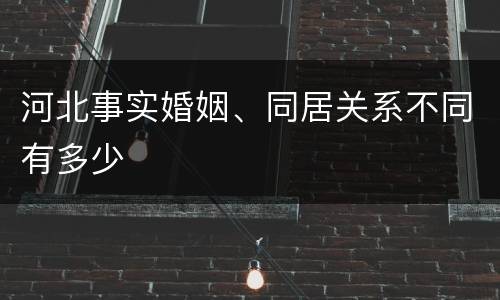 河北事实婚姻、同居关系不同有多少