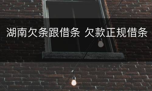 湖南欠条跟借条 欠款正规借条