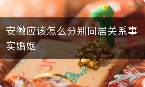 安徽应该怎么分别同居关系事实婚姻