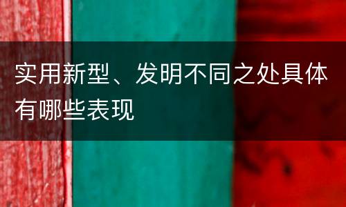 实用新型、发明不同之处具体有哪些表现