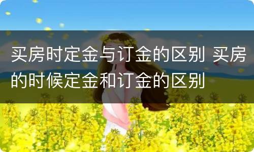 买房时定金与订金的区别 买房的时候定金和订金的区别