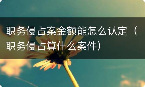 职务侵占案金额能怎么认定（职务侵占算什么案件）