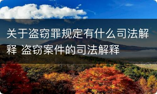 关于盗窃罪规定有什么司法解释 盗窃案件的司法解释