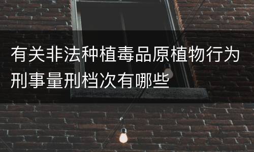 有关非法种植毒品原植物行为刑事量刑档次有哪些