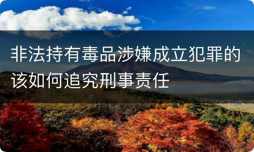 非法持有毒品涉嫌成立犯罪的该如何追究刑事责任