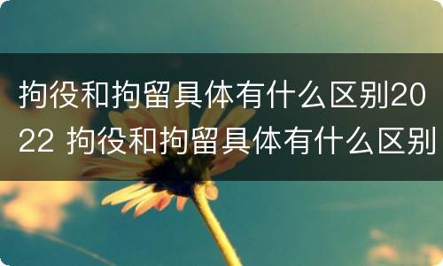 拘役和拘留具体有什么区别2022 拘役和拘留具体有什么区别2022年