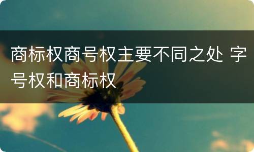 商标权商号权主要不同之处 字号权和商标权