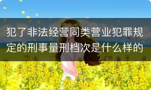 犯了非法经营同类营业犯罪规定的刑事量刑档次是什么样的