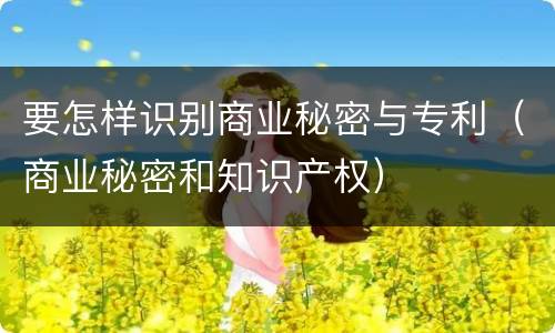 要怎样识别商业秘密与专利（商业秘密和知识产权）