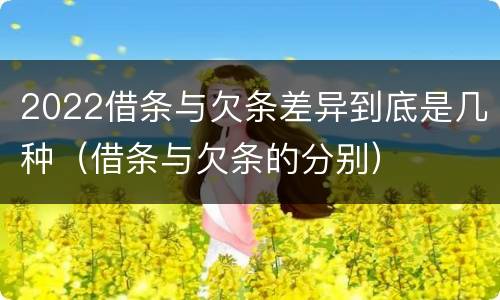 2022借条与欠条差异到底是几种（借条与欠条的分别）