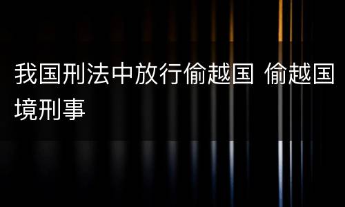 我国刑法中放行偷越国 偷越国境刑事