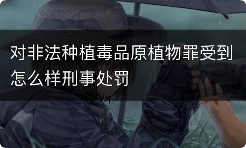 对非法种植毒品原植物罪受到怎么样刑事处罚