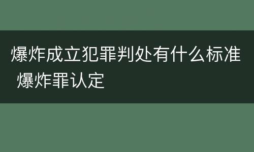 爆炸成立犯罪判处有什么标准 爆炸罪认定