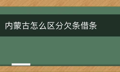 内蒙古怎么区分欠条借条