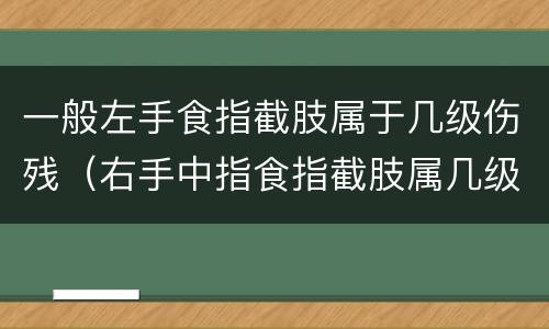 一般左手食指截肢属于几级伤残（右手中指食指截肢属几级伤残）