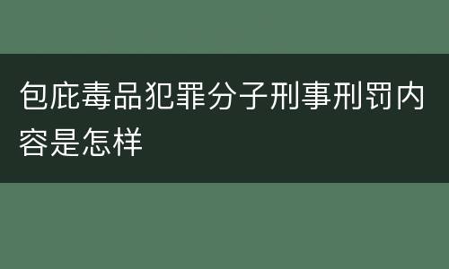 包庇毒品犯罪分子刑事刑罚内容是怎样