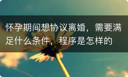 怀孕期间想协议离婚，需要满足什么条件，程序是怎样的