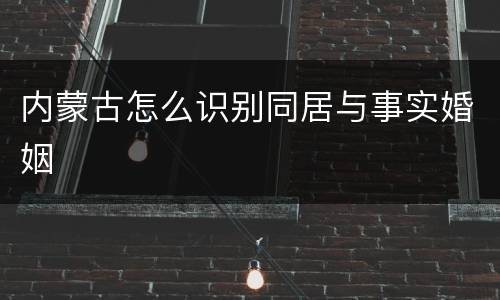 内蒙古怎么识别同居与事实婚姻