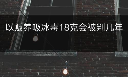 以贩养吸冰毒18克会被判几年