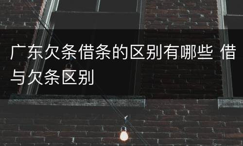 广东欠条借条的区别有哪些 借与欠条区别