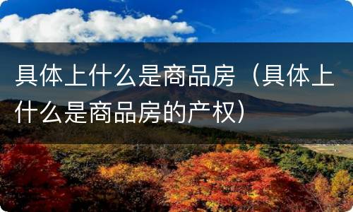具体上什么是商品房（具体上什么是商品房的产权）