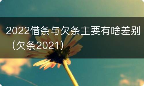2022借条与欠条主要有啥差别（欠条2021）