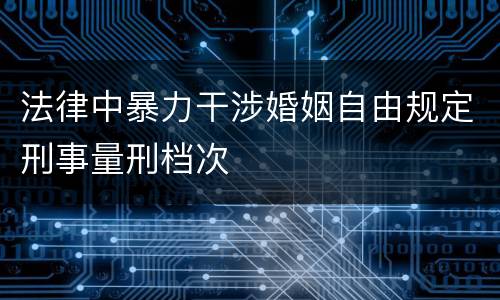 法律中暴力干涉婚姻自由规定刑事量刑档次