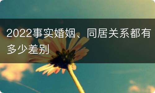 2022事实婚姻、同居关系都有多少差别