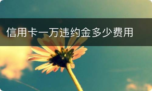 信用卡一万违约金多少费用