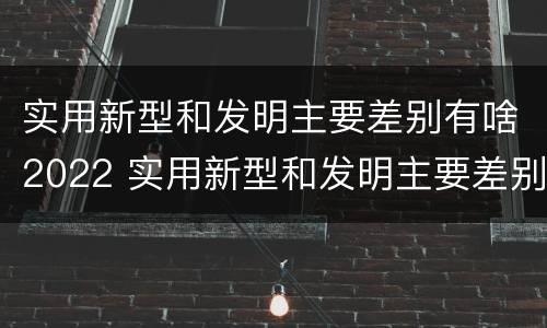 实用新型和发明主要差别有啥2022 实用新型和发明主要差别有啥2022年的