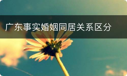 广东事实婚姻同居关系区分