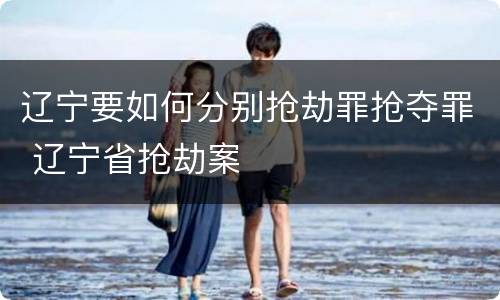 辽宁要如何分别抢劫罪抢夺罪 辽宁省抢劫案