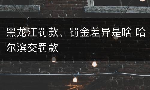 黑龙江罚款、罚金差异是啥 哈尔滨交罚款